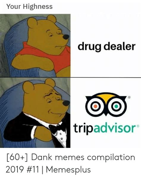 Your Highness Drug Dealer Tripadvisor 60 Dank Memes Compilation 2019