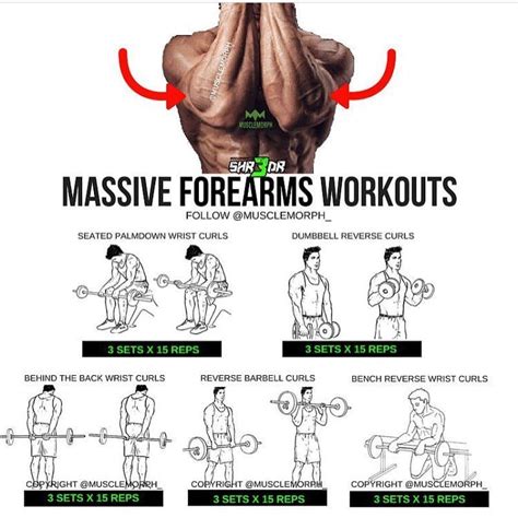 want massive forearms try this workout 👆🏻save it so you can use it at the gym👆🏻like and follow