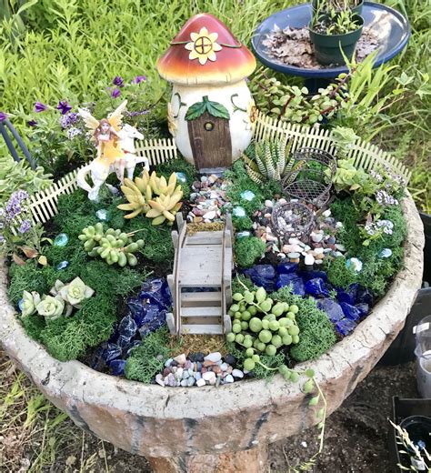 A Miniature Garden In A Pot On The Ground