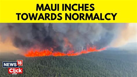 Maui Wildfires News Updates Maui Fires Maui Wildfires 2023 Hawaii