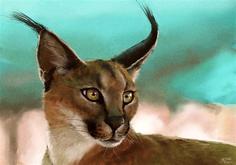 Caracal Painting By Ruffu On Deviantart