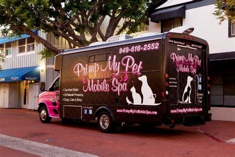 Reviews, and just been awarded top pro from thumbtack, along with other. Chandler Mobile Dog Grooming - Yelp