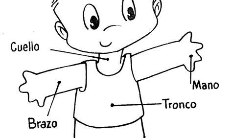 Body Parts In Spanish Free Coloring Pages Coloring Pages