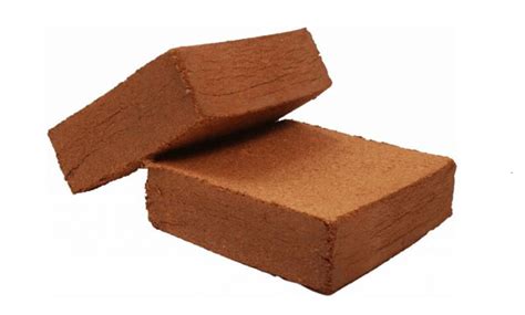 Order verma compost online at target. Coco Peat Dealer in Doha | Block Sizes 5KG | For Enquiry ...