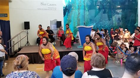 Aquarium Of The Pacifics Pacific Islander Festival Review