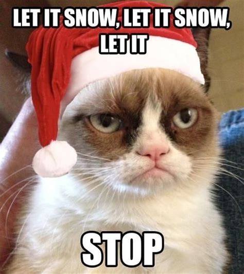 Grumpy Cat Christmas Pics Let It Snow Grumpy Cat Christmas Funny