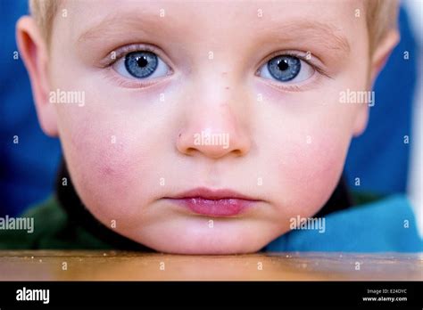 Portrait Of A Young Boy Stock Photo Alamy