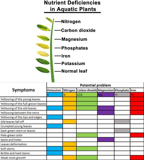 Aquatic Plant Deficiency Chart