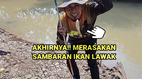 Mancing Ikan Lawak Di Indramayu Youtube