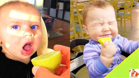 Babies Eating Lemon For The First Time Funny Baby Funny Pets Moments YouTube