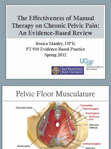 Effectiveness Of Manual Therapy On Chronic Pelvic Pain Myofascial