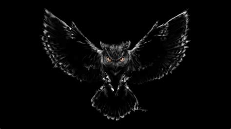 Dark Owl Wallpapers Top Free Dark Owl Backgrounds Wallpaperaccess