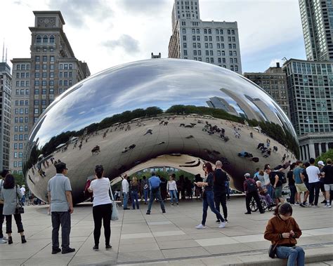 The Famous Bean Photograph By Sue Houston