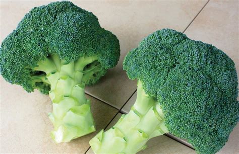 6 Of The Latest Cauliflower And Broccoli Varieties