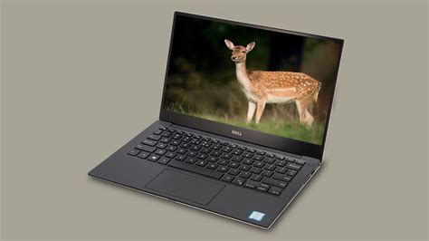 Best Laptops For Photographers In 2021 Laptops For Photographers