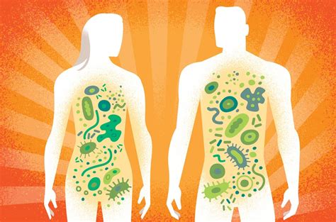 Longevity Briefs The Impact Of The Microbiome On Aging Gowing Life
