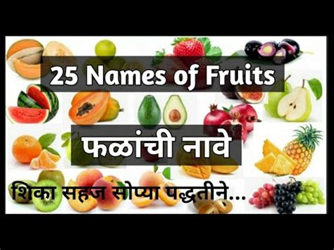 Check spelling or type a new query. Names of fruits in English and Marathi|25 Names of fruits ...