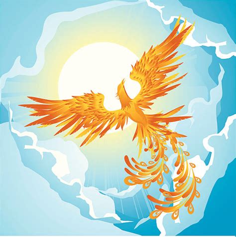 Phoenix Bird Illustrations Royalty Free Vector Graphics And Clip Art