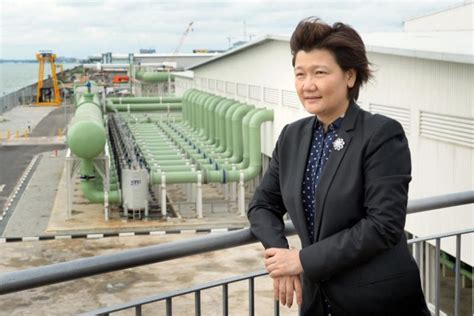 Hyflux's legal and financial advisers are in discussions with utico on the details of the investment, with a view to set them out in a binding term sheet, it said in a filing to the singapore exchange late friday. CEO Olivia Lum says Hyflux has total debt of $2.95b and is ...