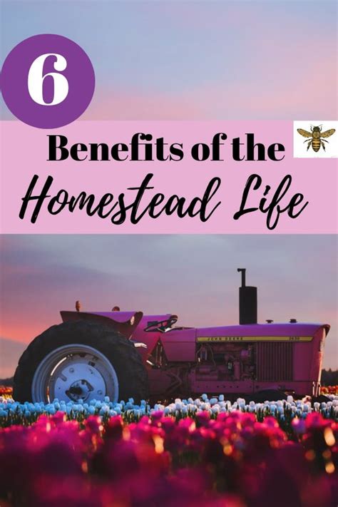 6 Benefits Of The Homestead Life Homesteading Farms Living Urban