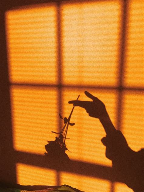 The Shadow Of A Person Holding A Flower In Front Of A Window With