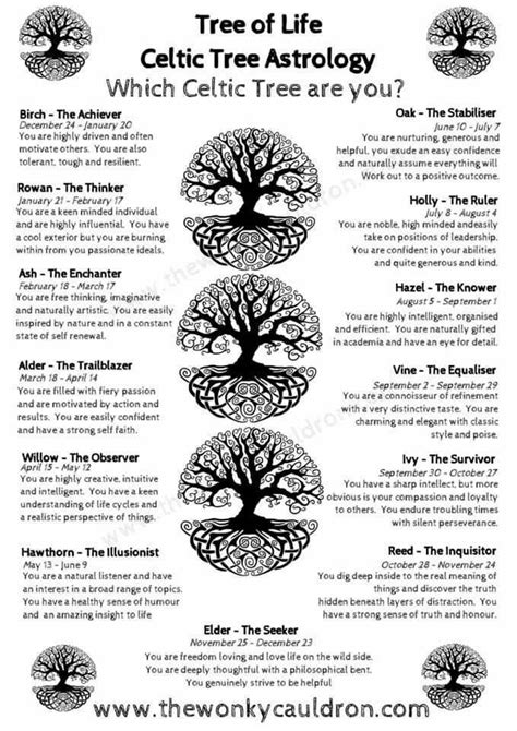 Tree Of Life Celtic Tree Astrology Celtic Tree Astrology Celtic