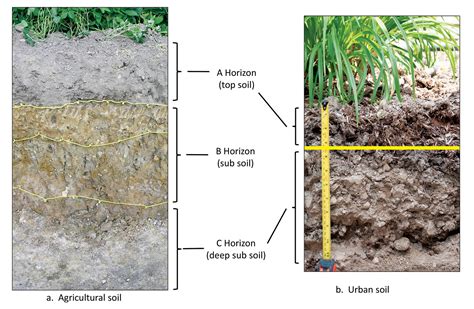 Urban Soils Naturally Unnatural Landscape Ontario
