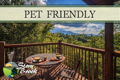 Pet friendly cabins in gatlinburg and pigeon forge offered by cabins for you. Pet Friendly Cabins in Gatlinburg, TN | Pet friendly ...