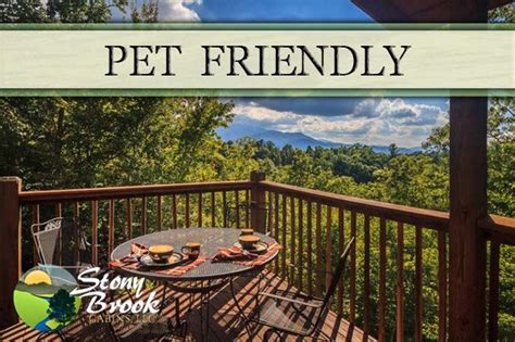 Maybe you would like to learn more about one of these? Pet Friendly Cabins in Gatlinburg, TN | Pet friendly ...