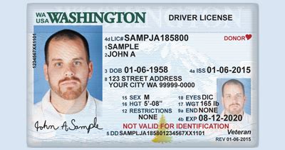 Your washington id card guide dmv.com. Washington produces new, highly secure, ID cards and Driver Licenses