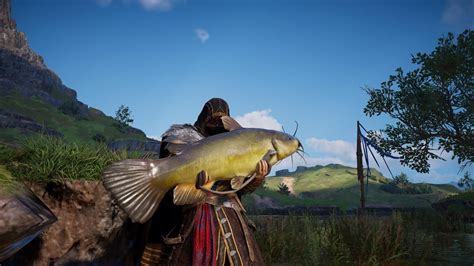 How To Fish In Assassins Creed Valhalla Gamezo