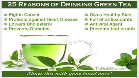 Green tea is derived from camellia sinensis bush. 25 Proven Health Benefits of Green Tea