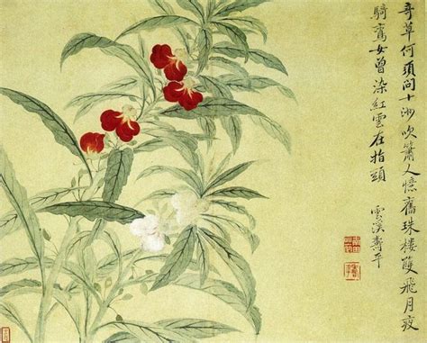 Ancient Chinese Flower Paintings By Yun Shou Ping 惲壽平 Inkston