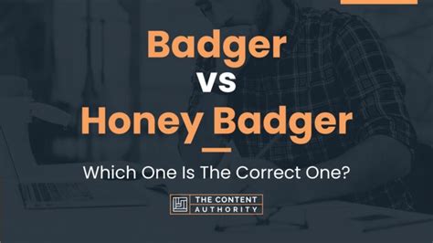 Badger Vs Honey Badger Which One Is The Correct One