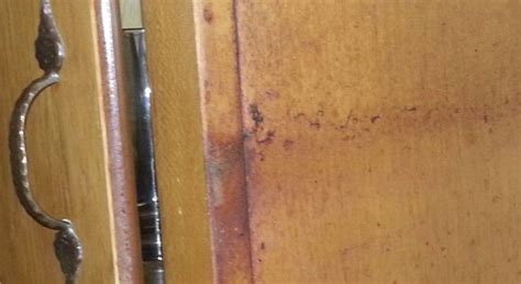 To remove rust from your cabinets' hinges, soak rags in white vinegar then wipe at the rusty spots just like you did before for the cabinet hardware. Remove Greasy Buildup From Wood Cabinets - Simply Good ...