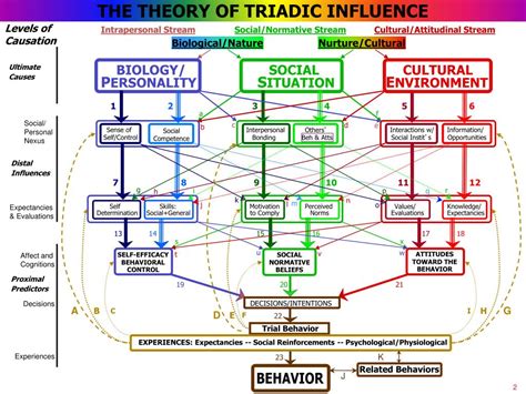 PPT THE THEORY OF TRIADIC INFLUENCE PowerPoint Presentation Free