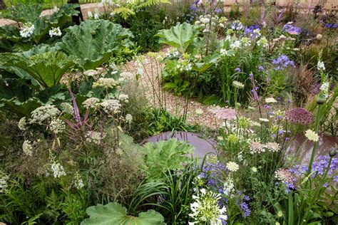 Ideas For Small Gardens From Hampton Court The English