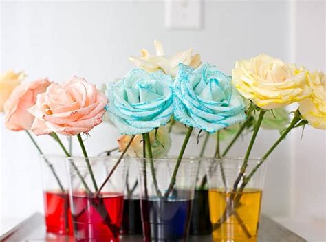 How To Dye Flowers With Food Coloring Canvas Mullet