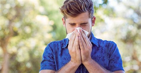 How to say hay in malay. Keep Your Home Hay Fever Free | Chill Insurance Ireland