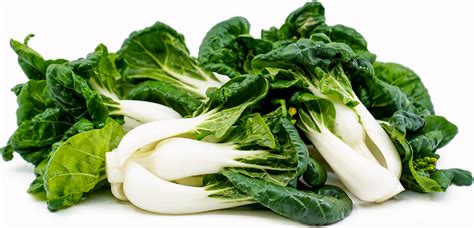 Baby Bok Choy Information Recipes And Facts