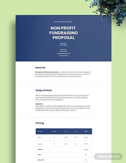 23 Free Non Profit Proposal Templates Edit And Download