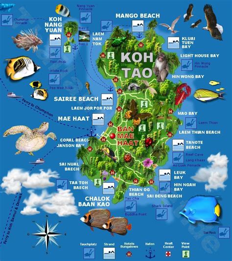 koh tao travel tips thailand things to do map and best time to visit koh tao thailand