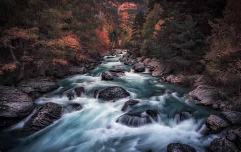 Photos Autumn Nature River Stones 2560x1615