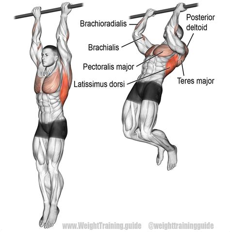 How To Do A Pull Up Muscles Worked And Benefits