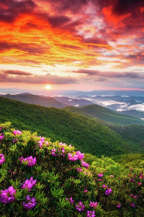 Appalachian Mountains Scenic Sunset Spring Flowers Vertical Landscape