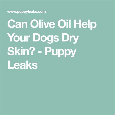 Can Olive Oil Help Your Dogs Dry Skin Dog Dry Skin Dry Skin Skin