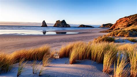New zealand has more than 9,300 miles of coastline, which ripples and zigzags to create bays, coves, fjords, and countless beaches. Natural landscape of Wharariki Beach at sunset, South ...