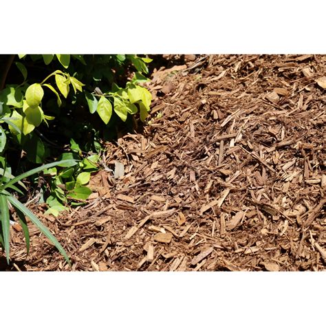Cypress Blend Mulch