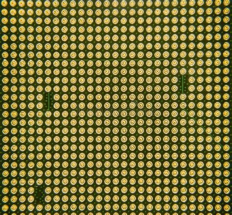 Cpu Pins Central Processor Unit Upside Down Stock Photo Image Of
