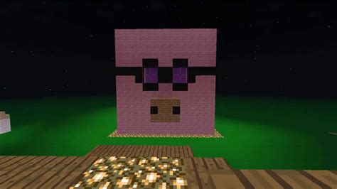 My Minecraft Pig In Minecraft Right Now He Only Blinks By